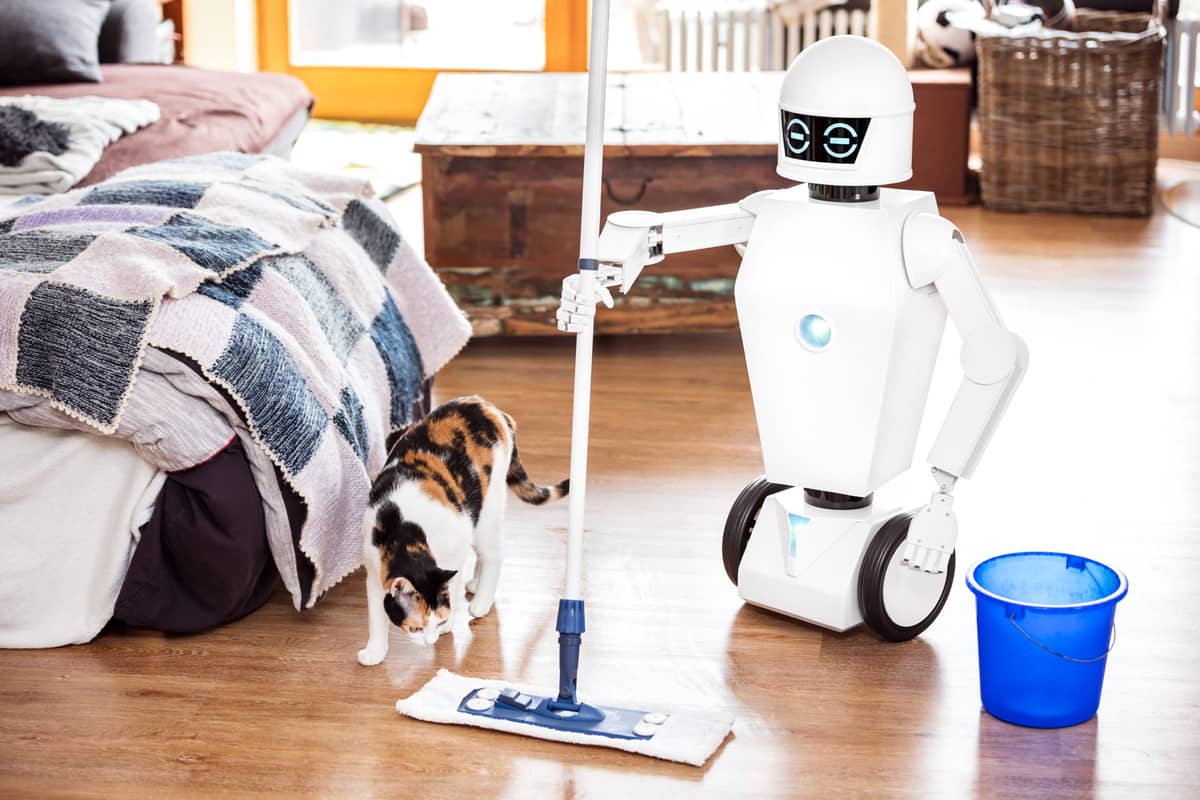 AI home robot.